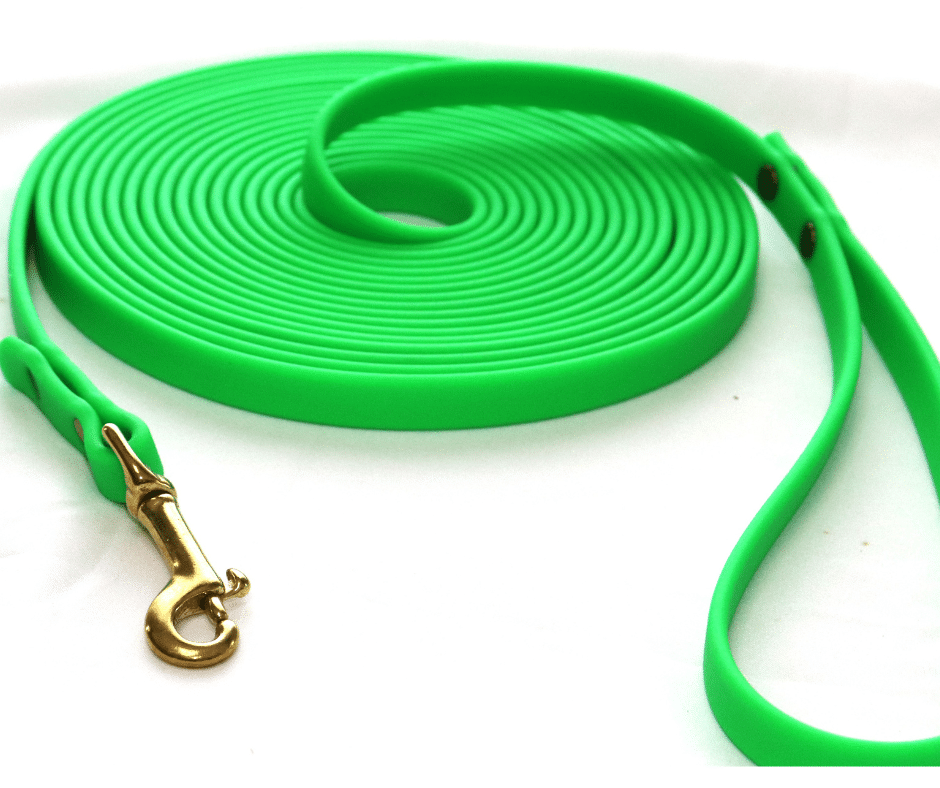 Longe pour chien image 3