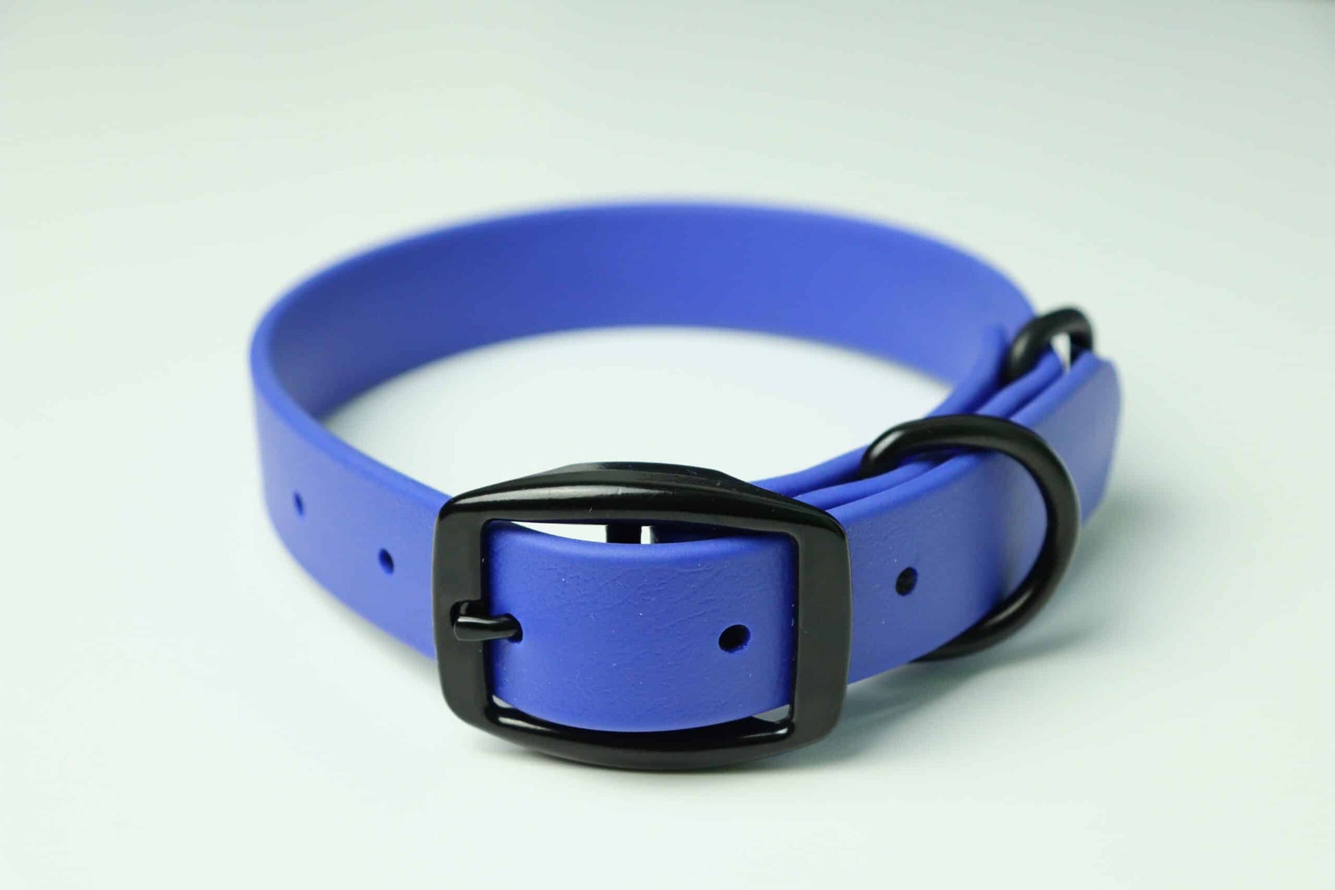 Collier pour chien image 9