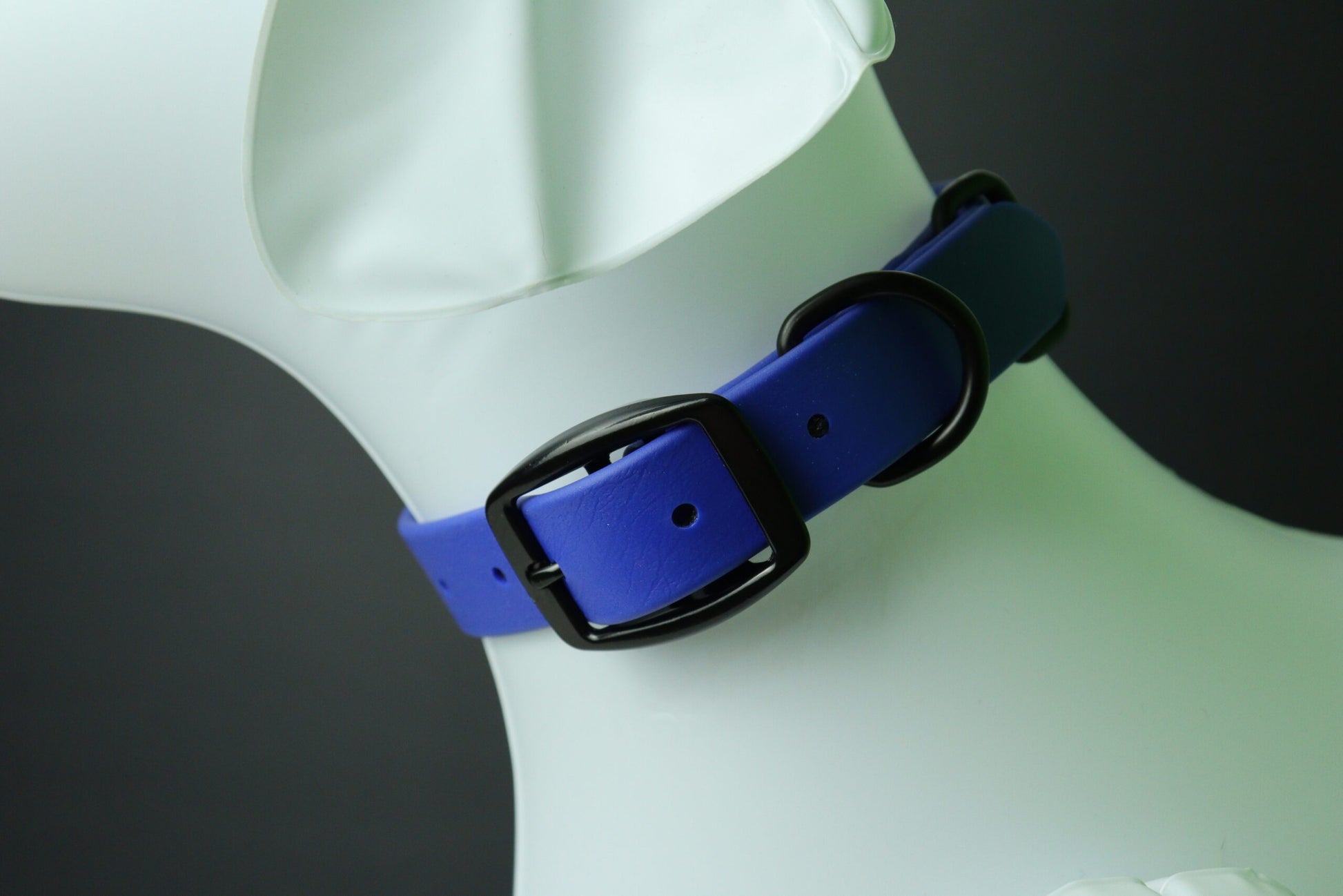 Collier pour chien image 10