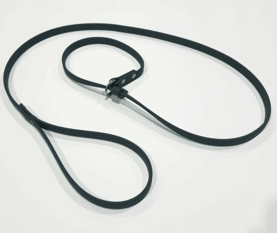 Laisse lasso pour chien image 0