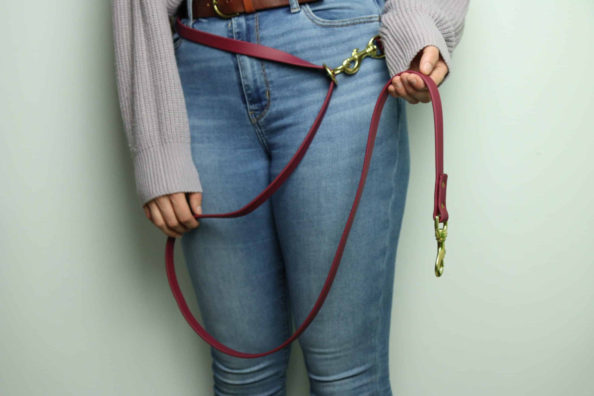 Laisse multifonction pour chien image 9