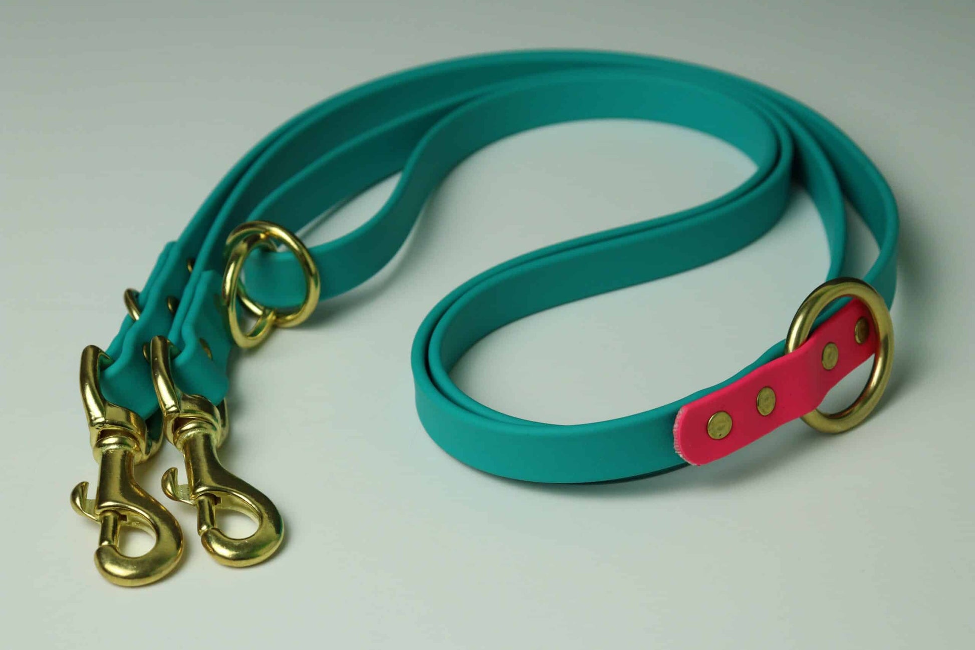 Laisse multifonction pour chien image 1