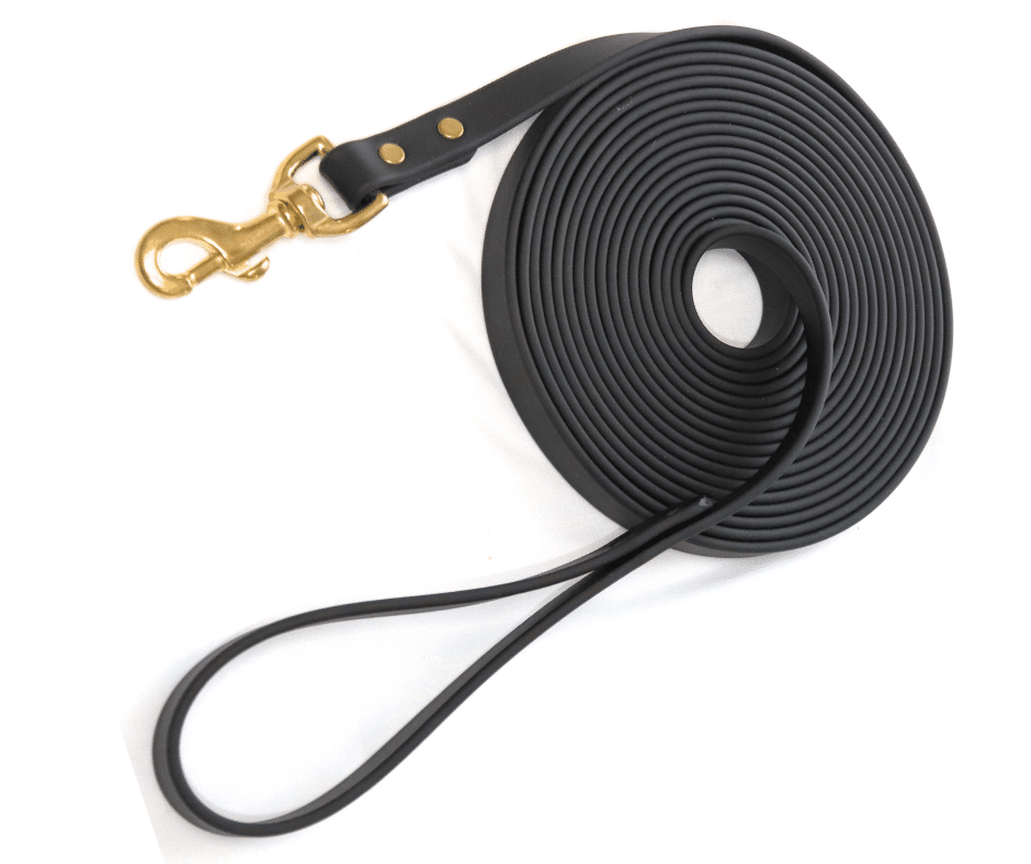 Longe pour chien image 2