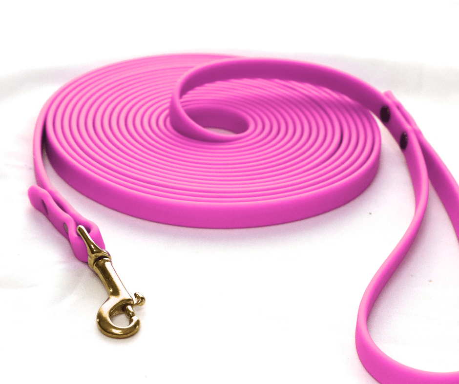 Longe pour chien image 1