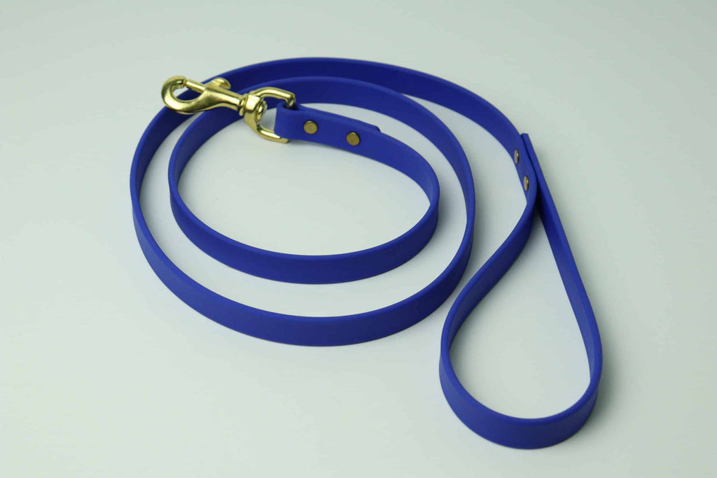 Laisse régulière pour chien image 1