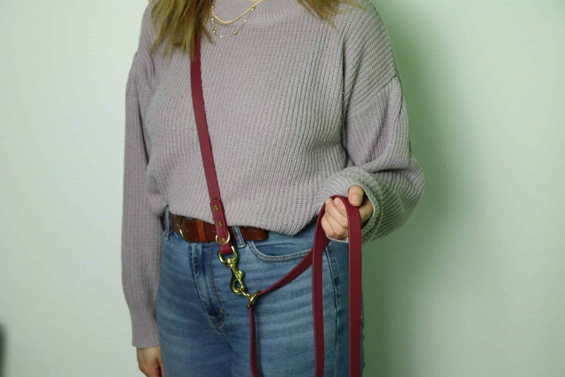 Laisse multifonction pour chien image 8