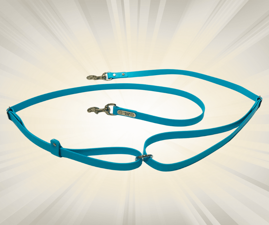 Laisse de taille pour chien image 1