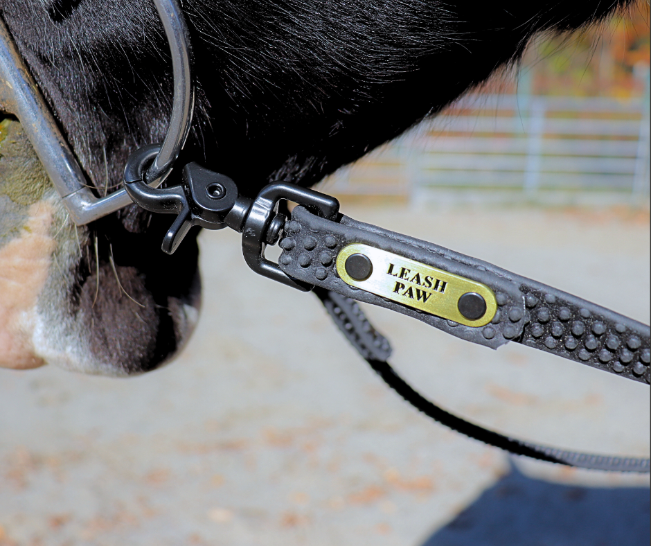 Rênes de Baril Anti-dérapante 8'