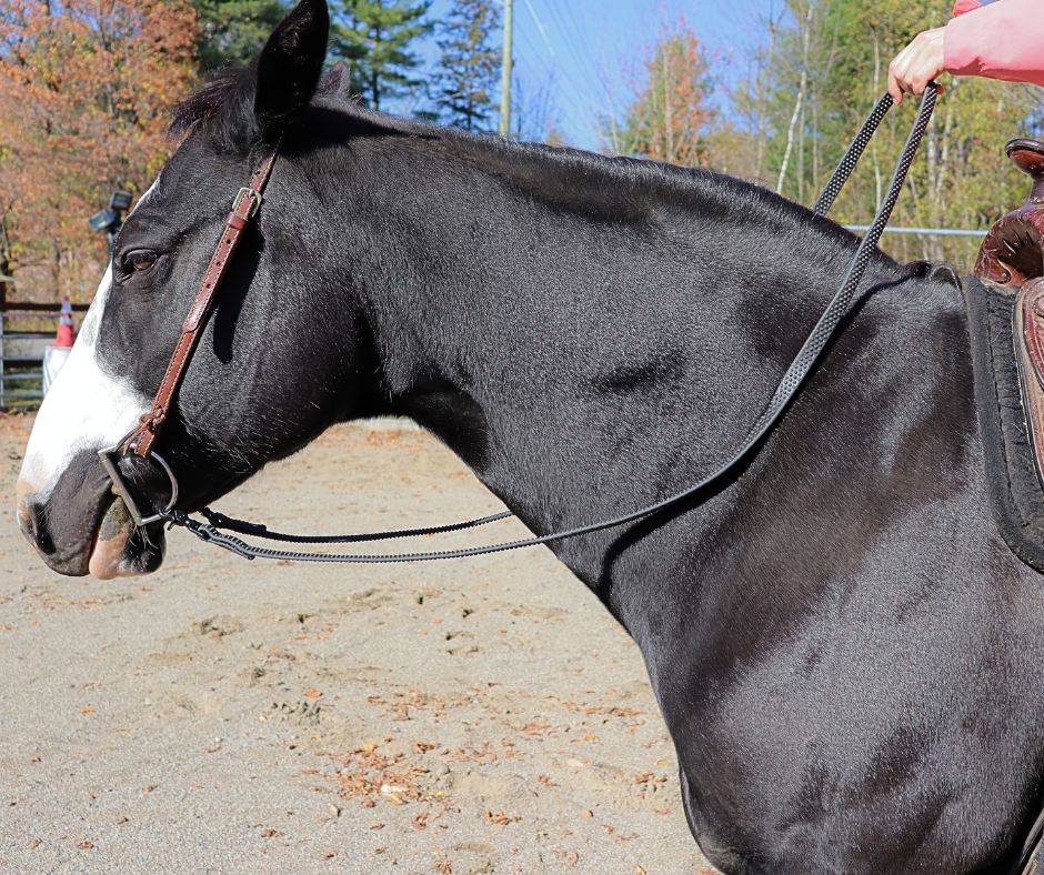 Rênes de Baril Anti-dérapante 8'