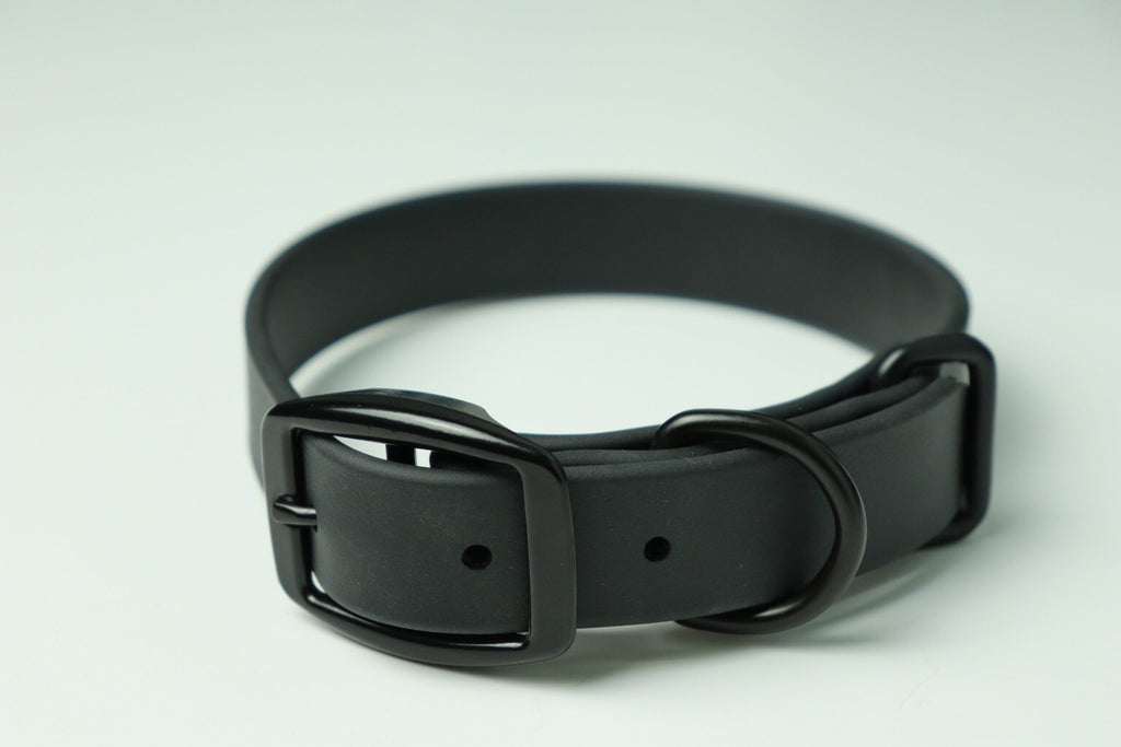 Collier pour chien image 1