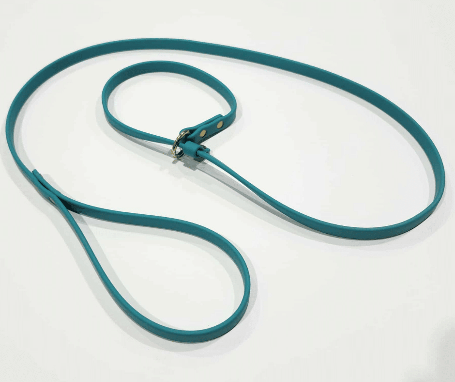 Laisse lasso pour chien image 1