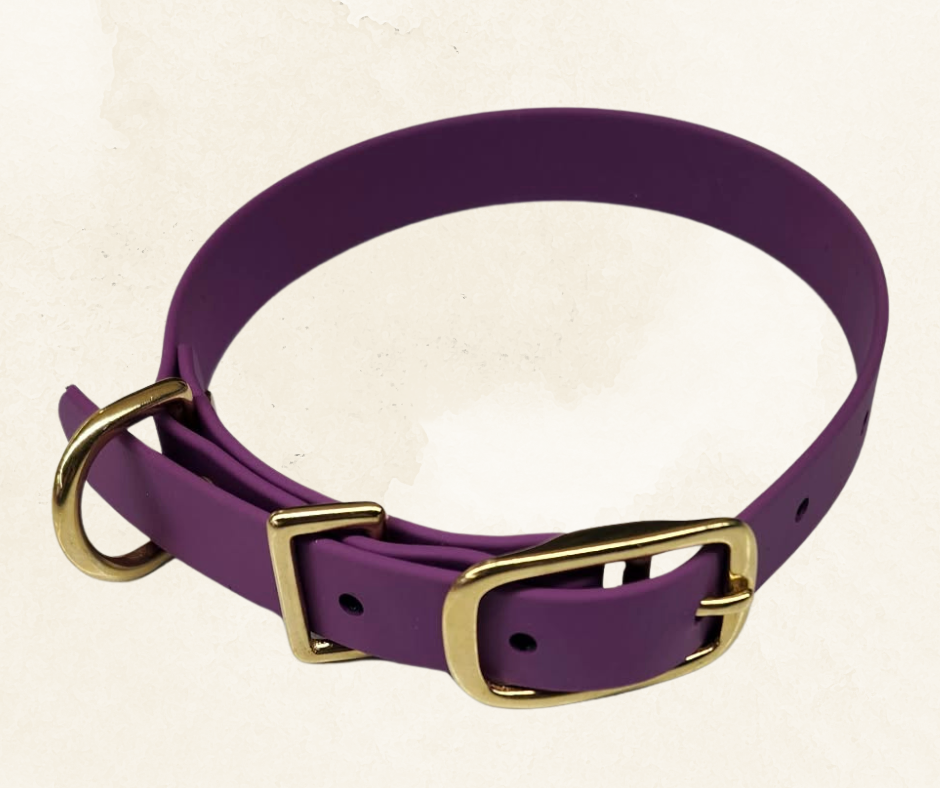 Collier pour chien en Biothane