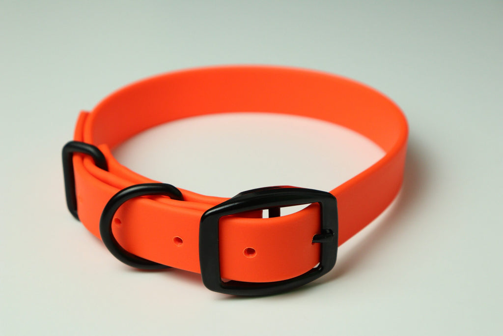 Collier pour chien image 7