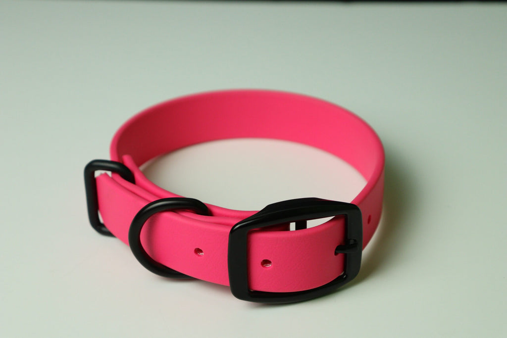Collier pour chien image 11