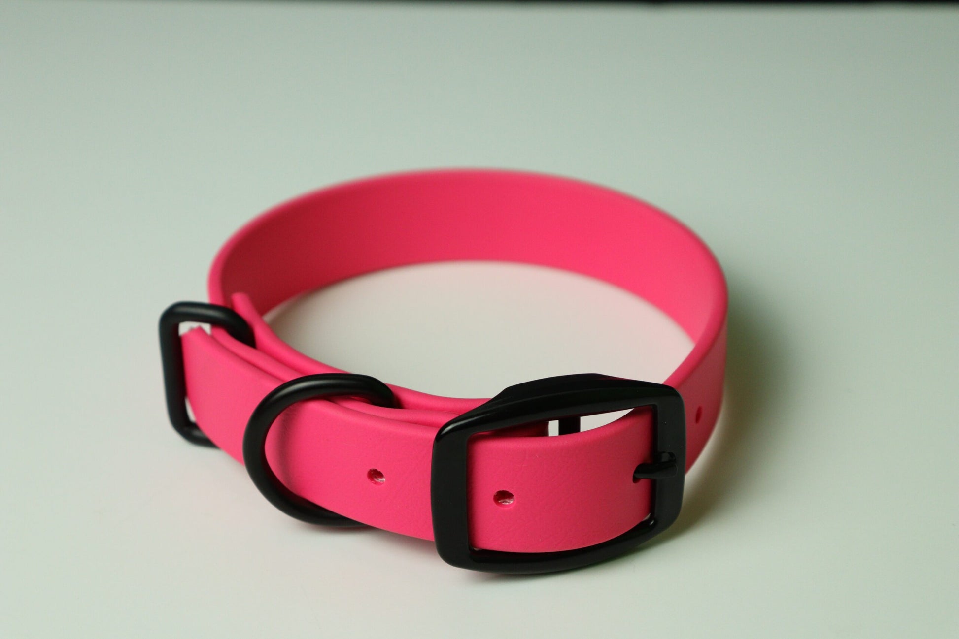 Collier pour chien image 11