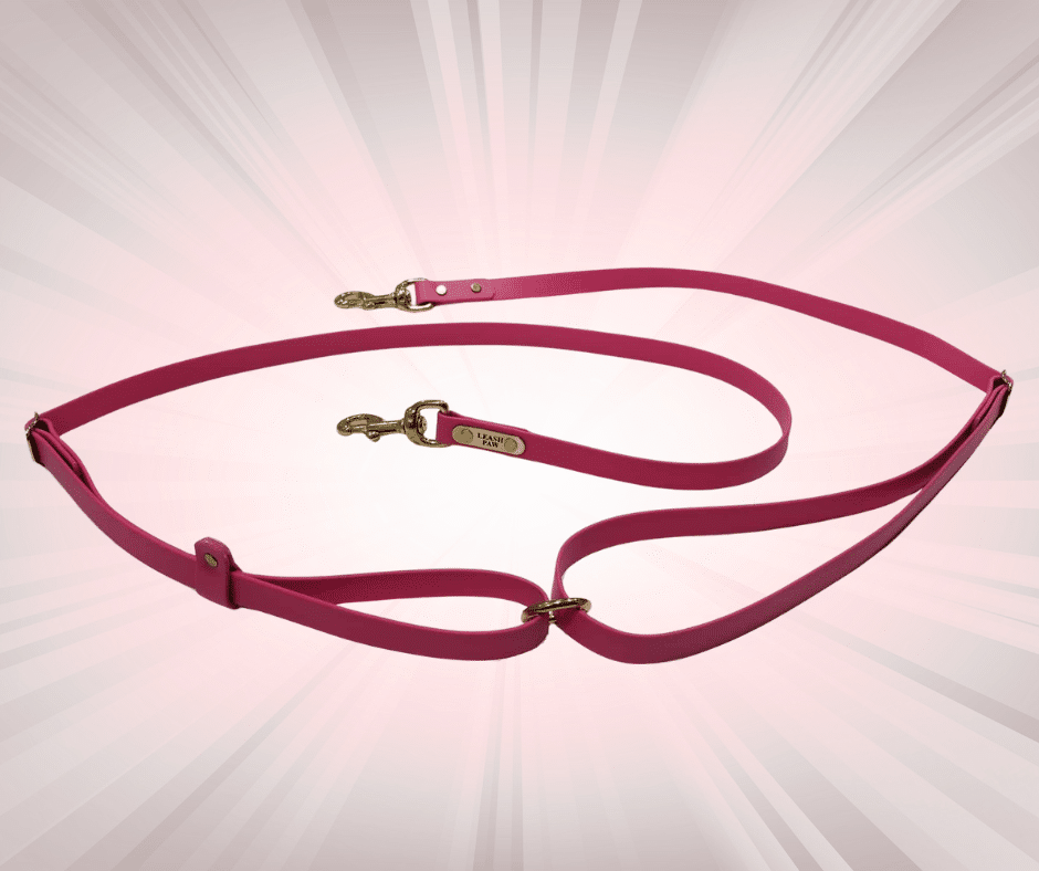 Laisse de taille pour chien image 0