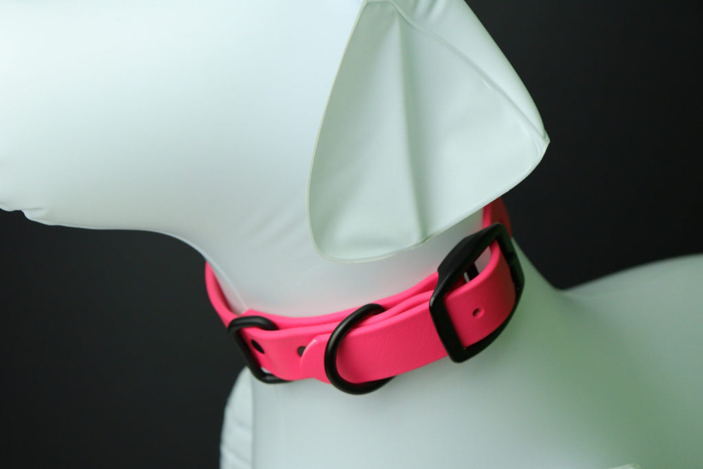 Collier pour chien image 12