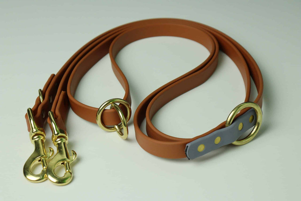 Laisse multifonction pour chien image 0