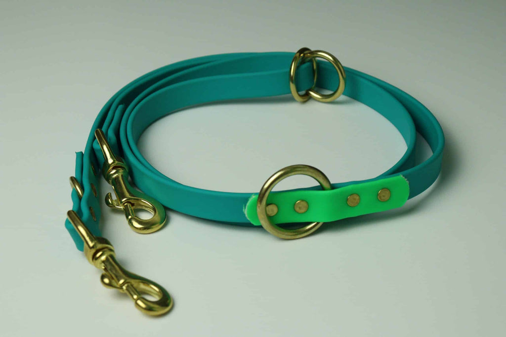 Laisse multifonction pour chien image 4