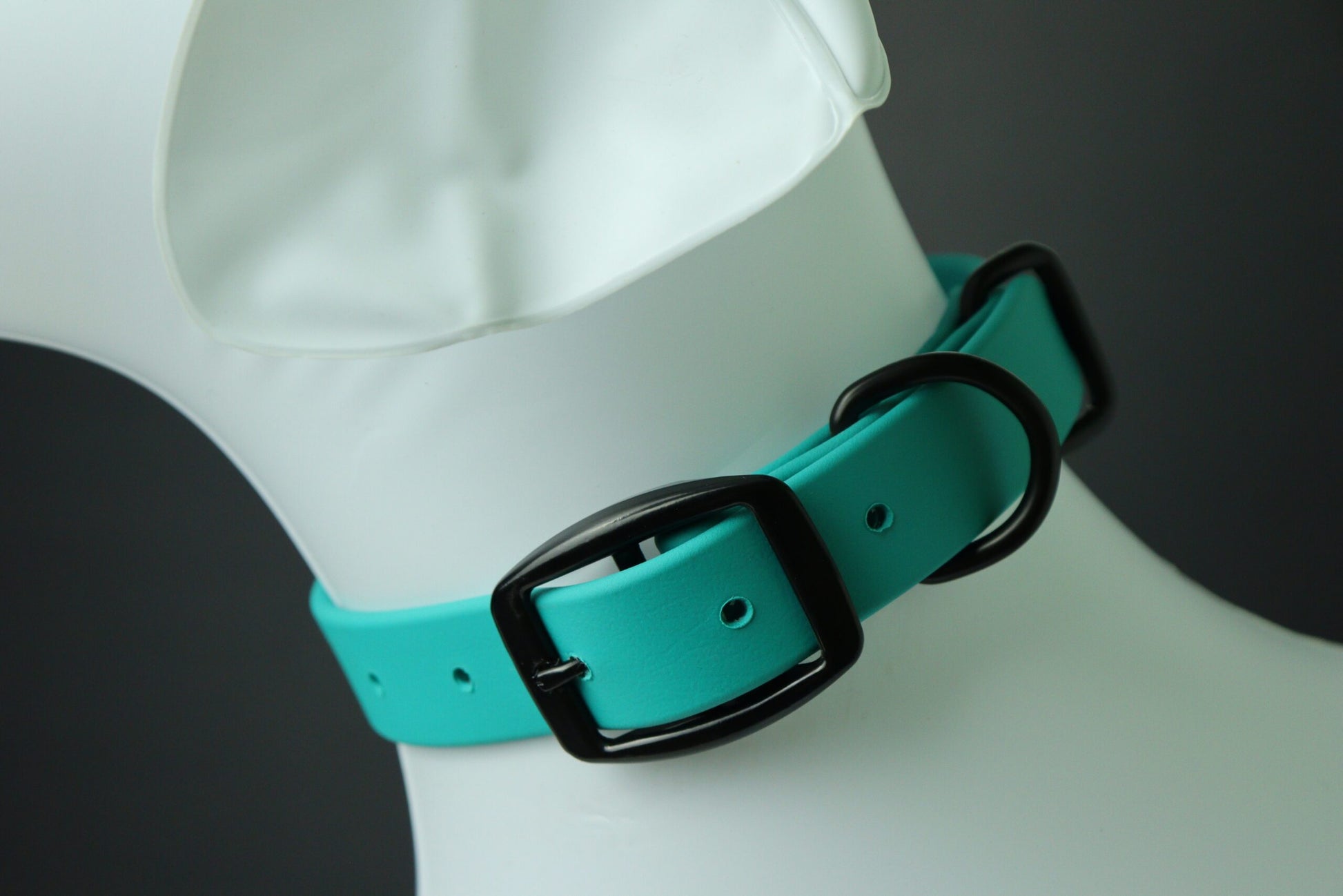 Collier pour chien image 6