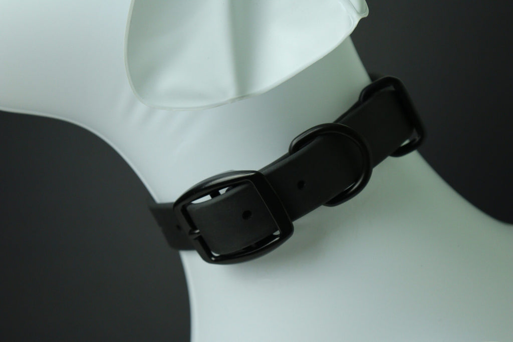 Collier pour chien image 2