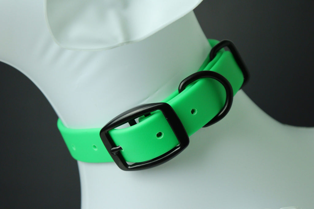 Collier pour chien image 4