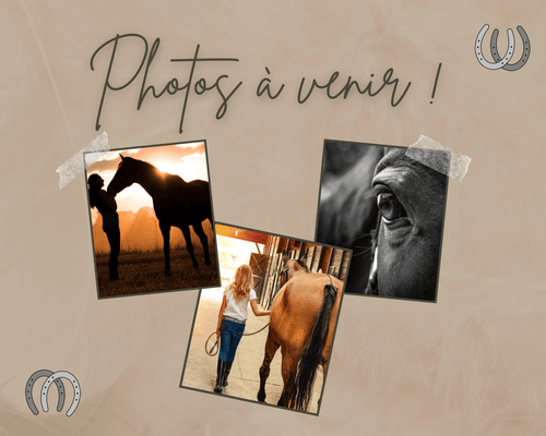 Laisse Anti-dérapante 8' pour chevaux image 0