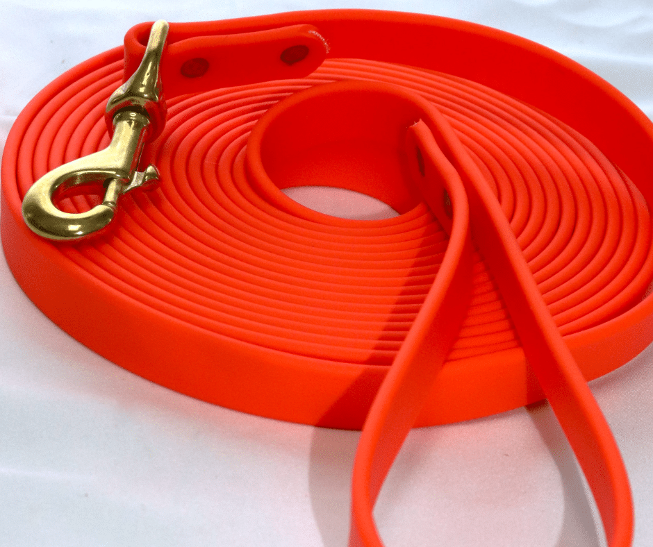 Longe pour chien image 0