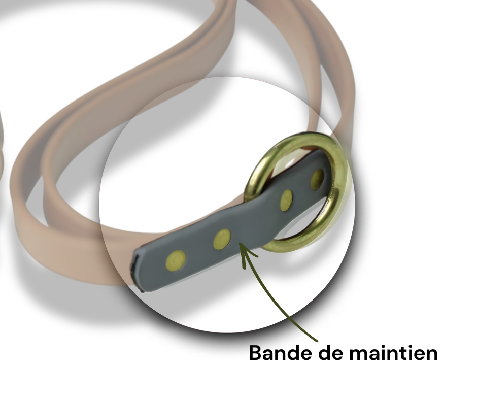 Laisse multifonction pour chien