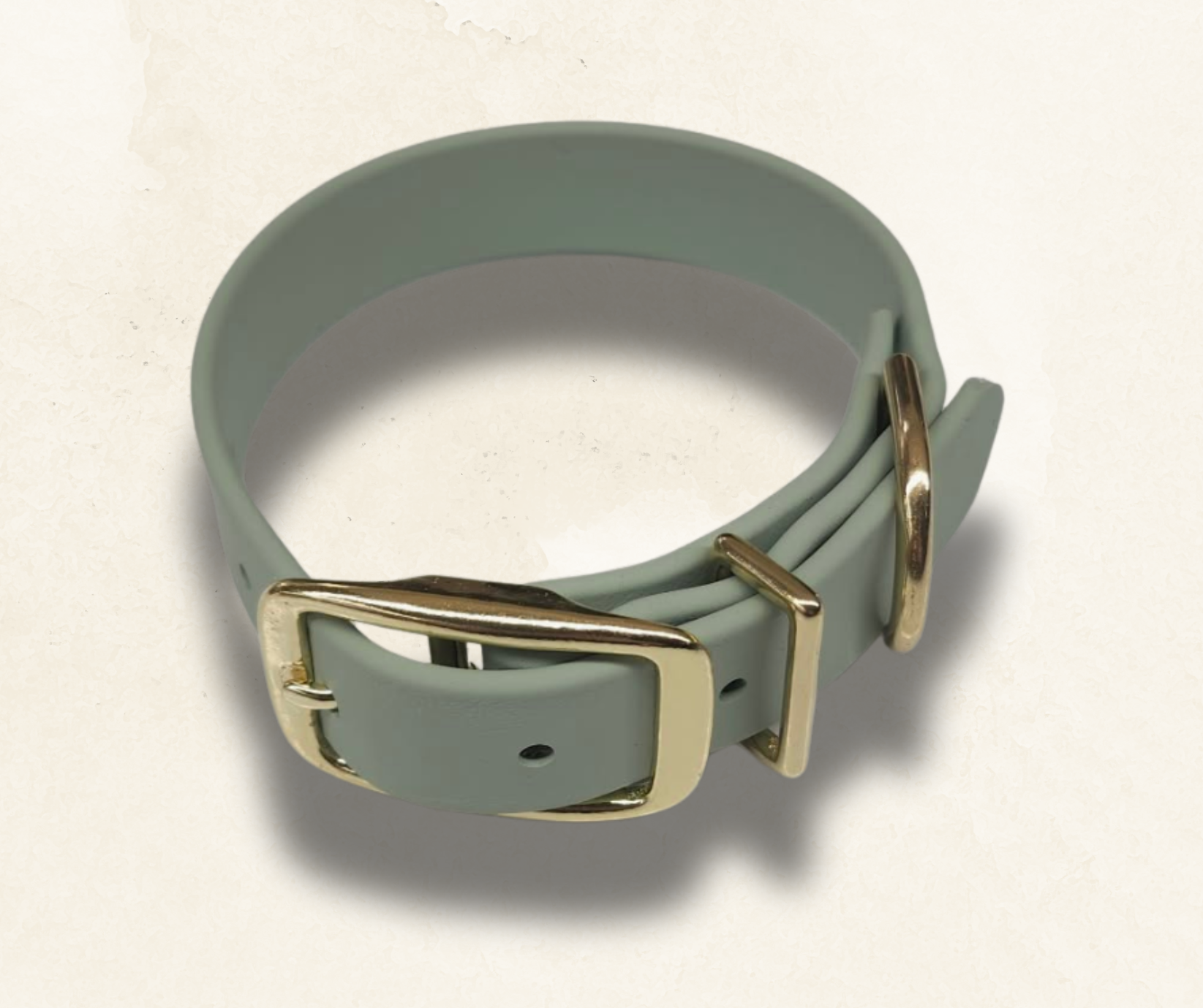 Collier pour chien en Biothane