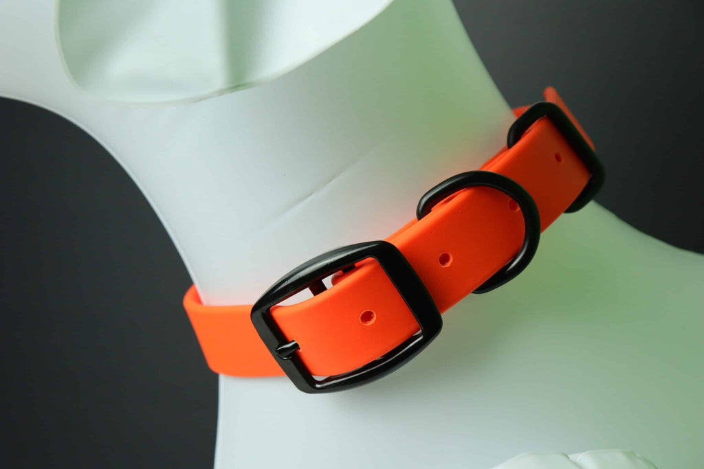 Collier pour chien image 8