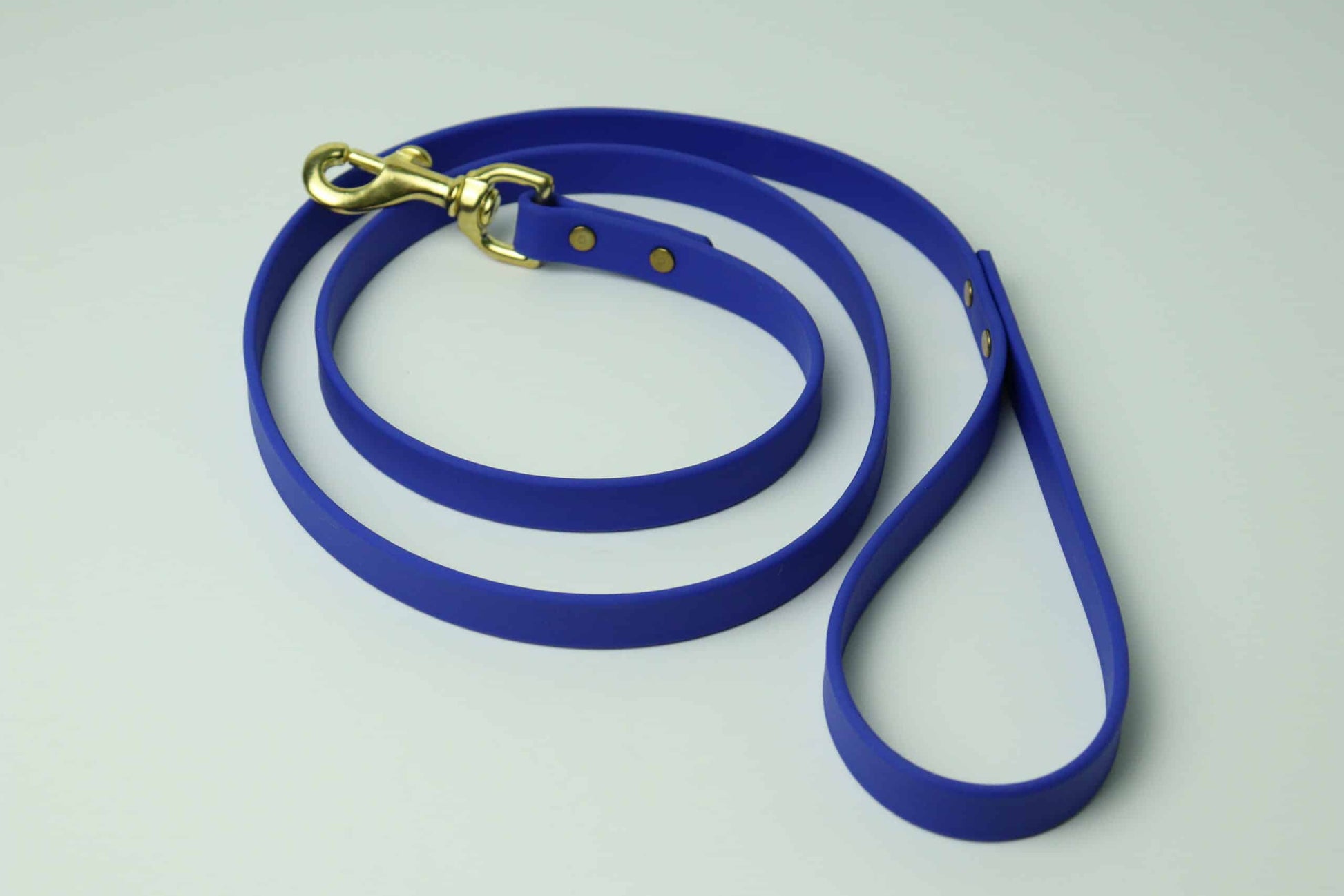 Laisse régulière pour chien image 0