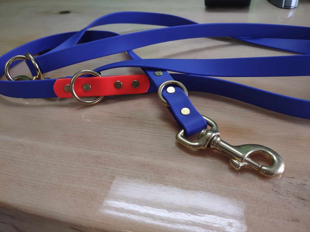 Laisse multifonction pour chien image 6