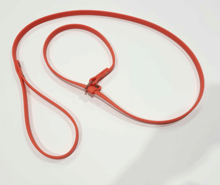 Laisse lasso pour chien image 3