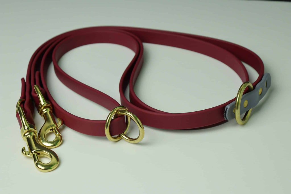 Laisse multifonction pour chien image 5