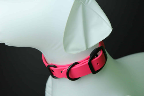 Collier pour chien image 0