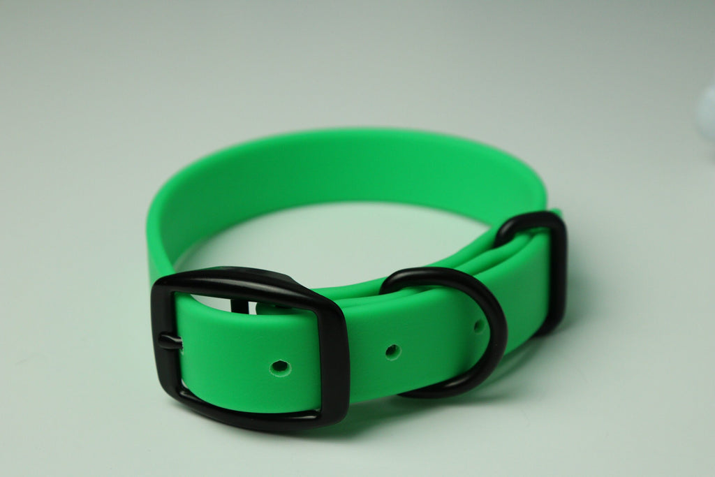 Collier pour chien image 3