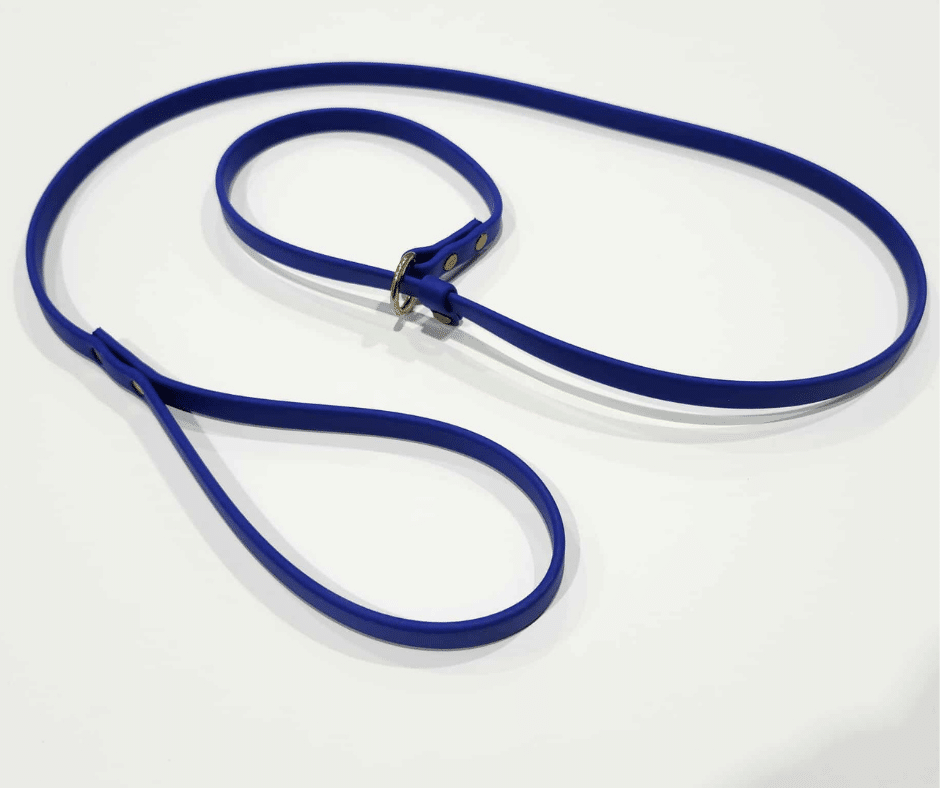 Laisse lasso pour chien image 4